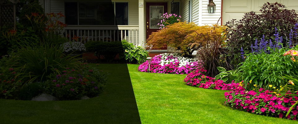 North Beach Landscapers